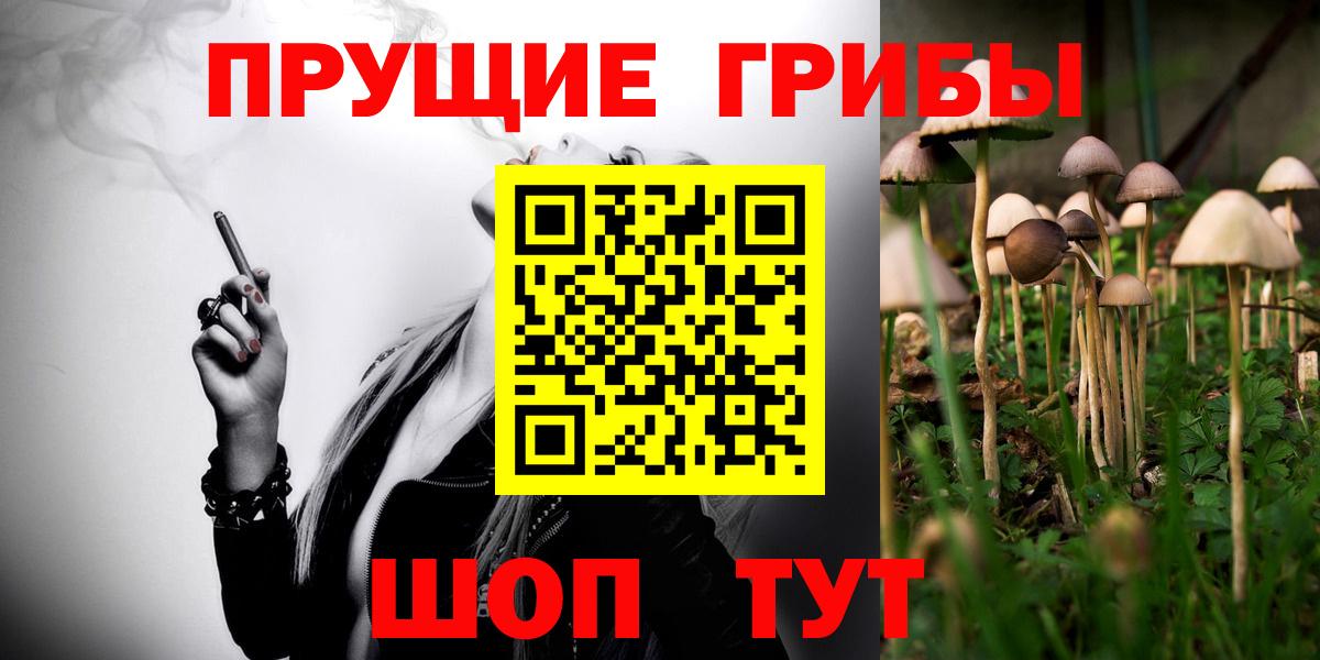 Новый Уренгой  Псилоцибиновые грибы прущие грибы  Вход с VPN 